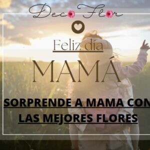 dia de las madres
